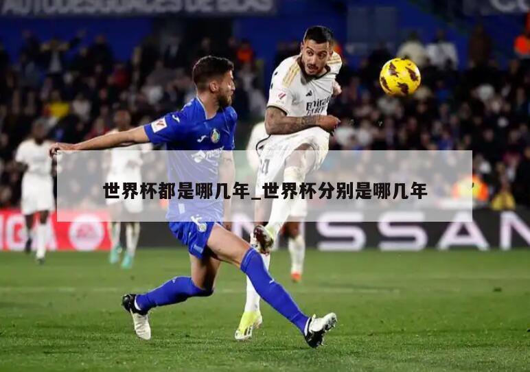 世界杯都是哪几年_世界杯分别是哪几年