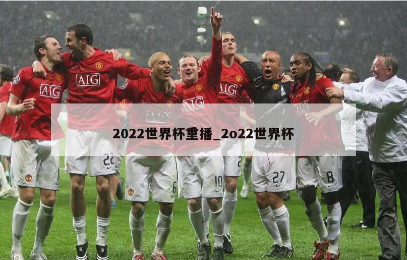 2022世界杯重播_2o22世界杯