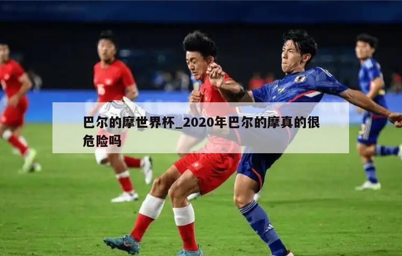 巴尔的摩世界杯_2020年巴尔的摩真的很危险吗